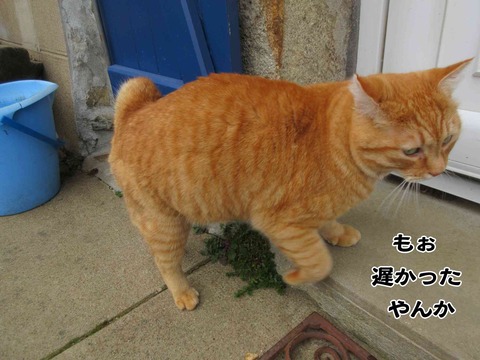 あそぼう 3