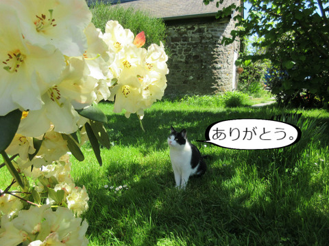 BlogPaint