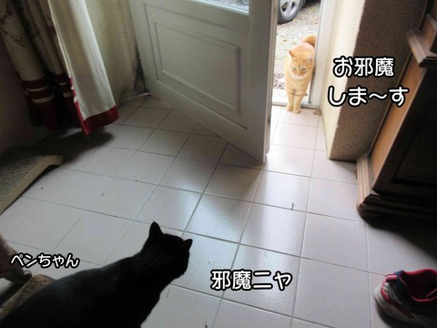 秋 10