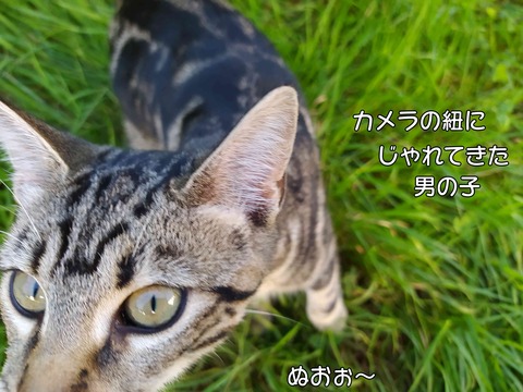 息子 14