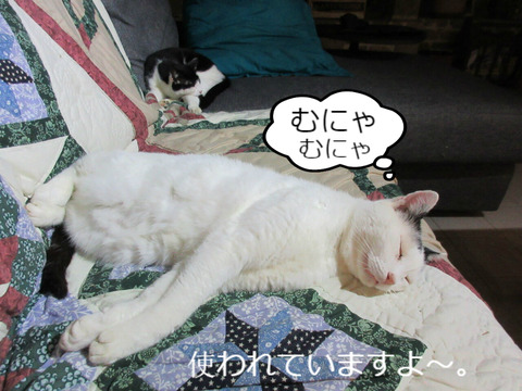 BlogPaint
