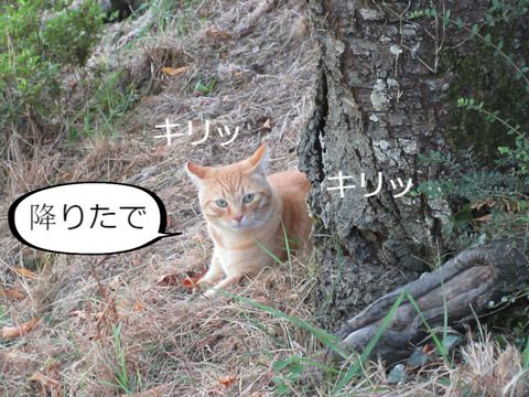 BlogPaint