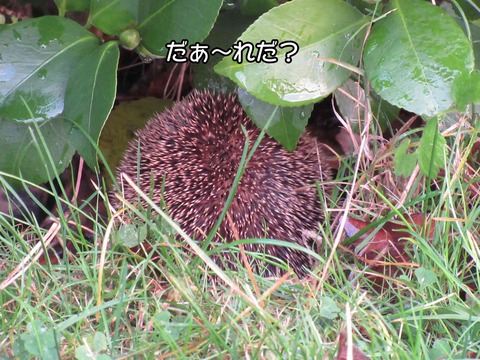 誰? 1