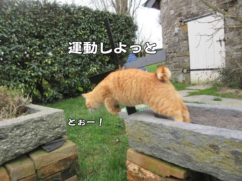 春ですね 3
