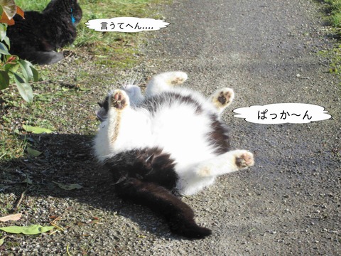 くじら　9