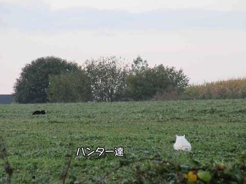 泥棒 2