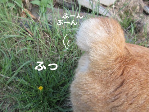 きた 7