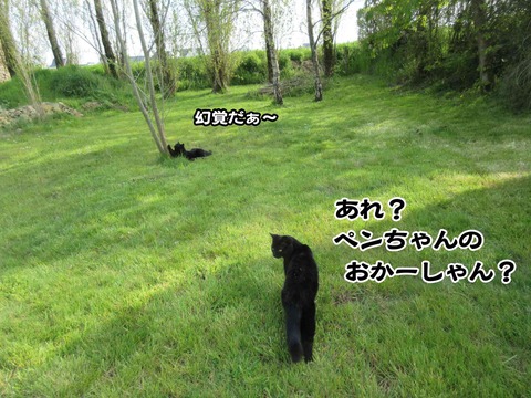 誰やねん 7