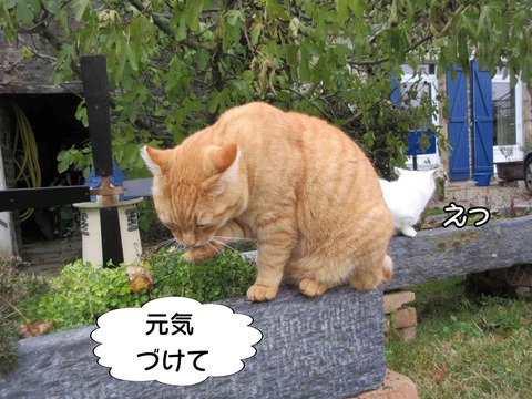 揉める 4