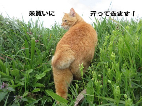 すーはー 11