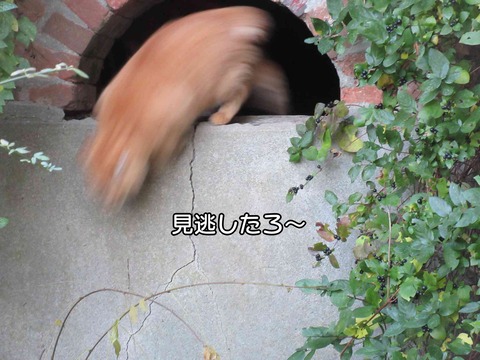 大人の対応 12