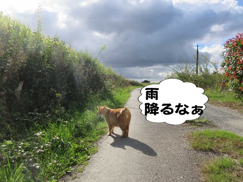 きた 19