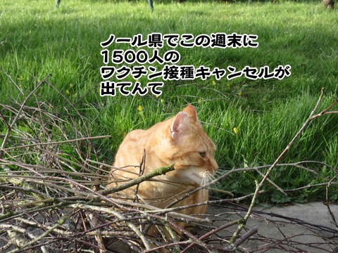 4月5日 6