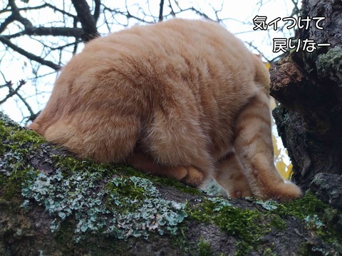 見てる 6