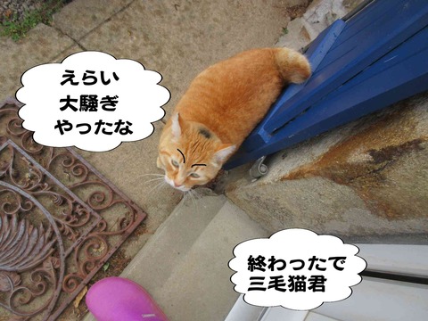 ご褒美 7