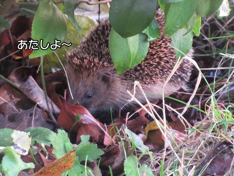 誰? 3