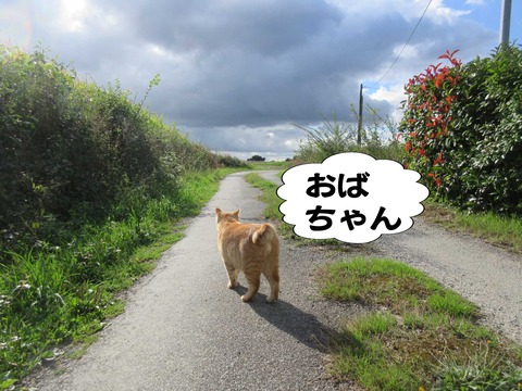 きた 18
