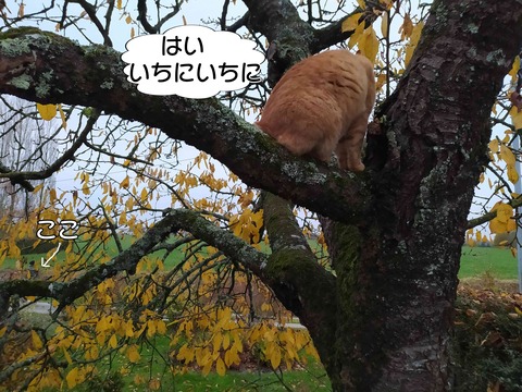 見てる 5