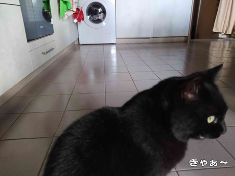 変わってる 7