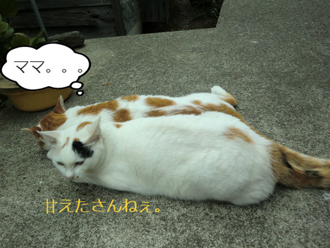 BlogPaint