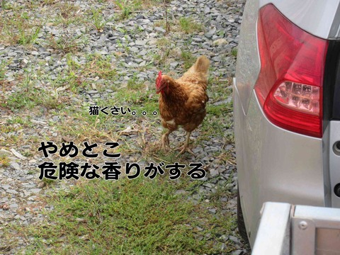 まき 10