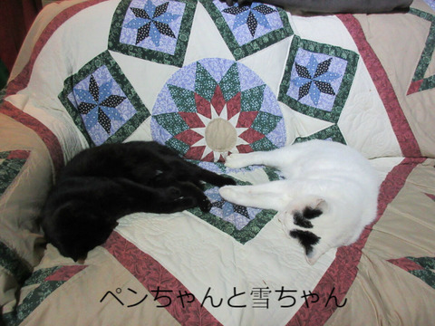 BlogPaint