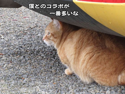 派手な車 3