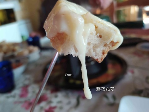 ビーバー 6