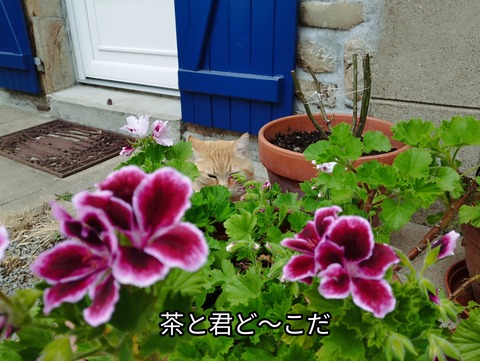 IMG_20260607_225229
