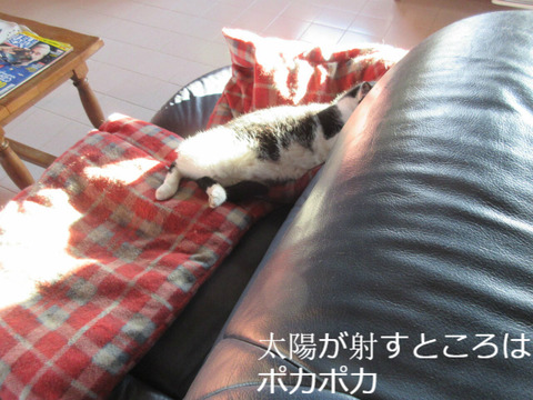 BlogPaint