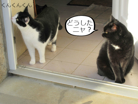 BlogPaint