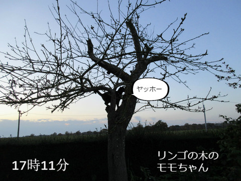 BlogPaint