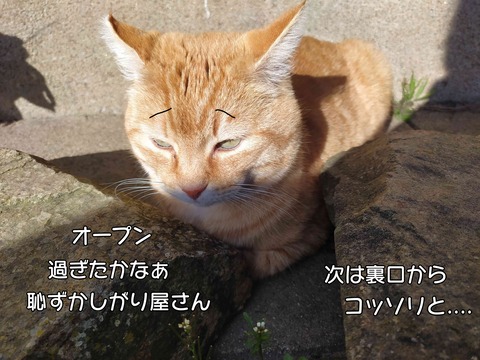 雨　8