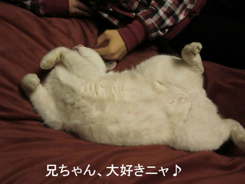 BlogPaint