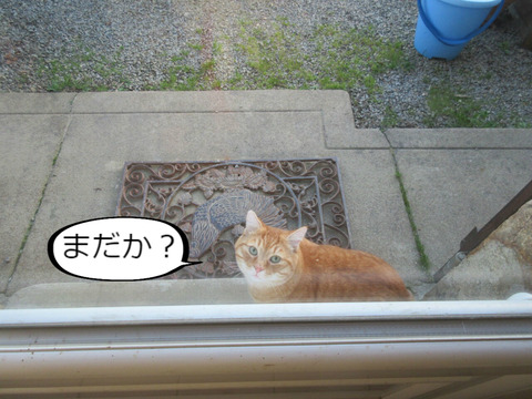 BlogPaint