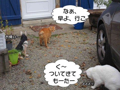 揉める 10