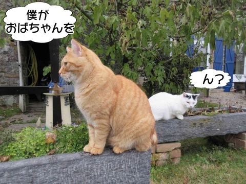揉める 3