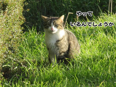 4月5日 13