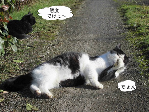 くじら　5