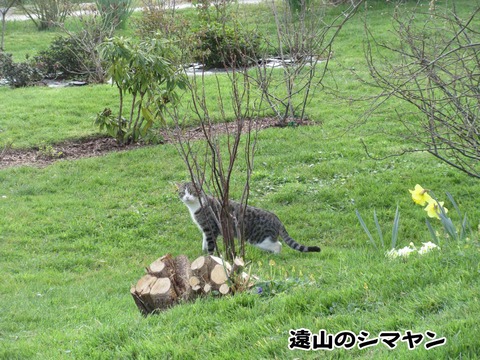 あなたはどっち 1