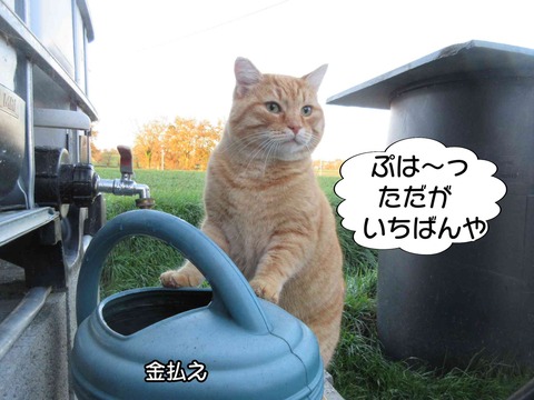 水がうまい 5