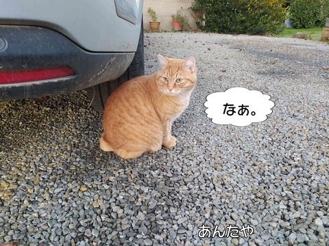 交渉 9