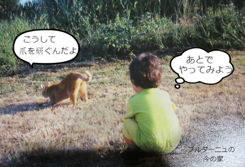 BlogPaint