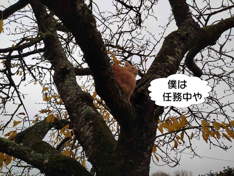 見てる 2