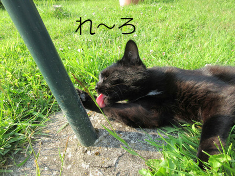 BlogPaint