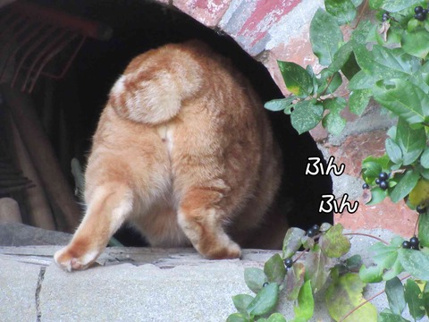 大人の対応 6