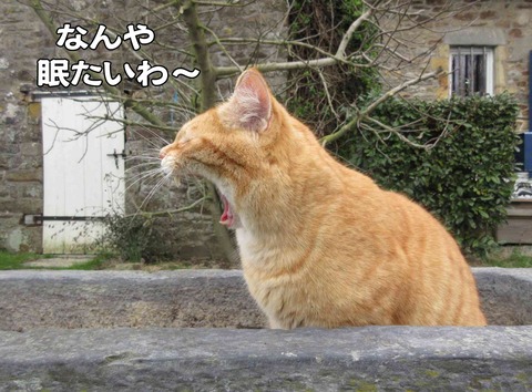 春ですね 2