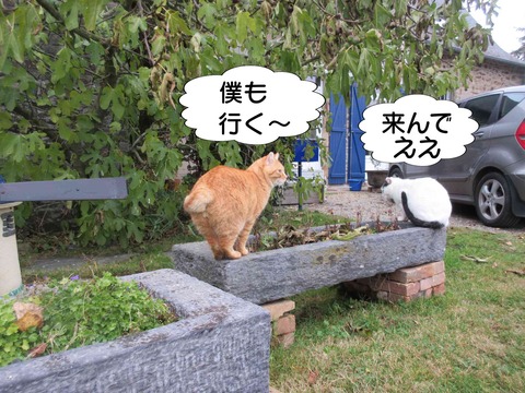 揉める 8