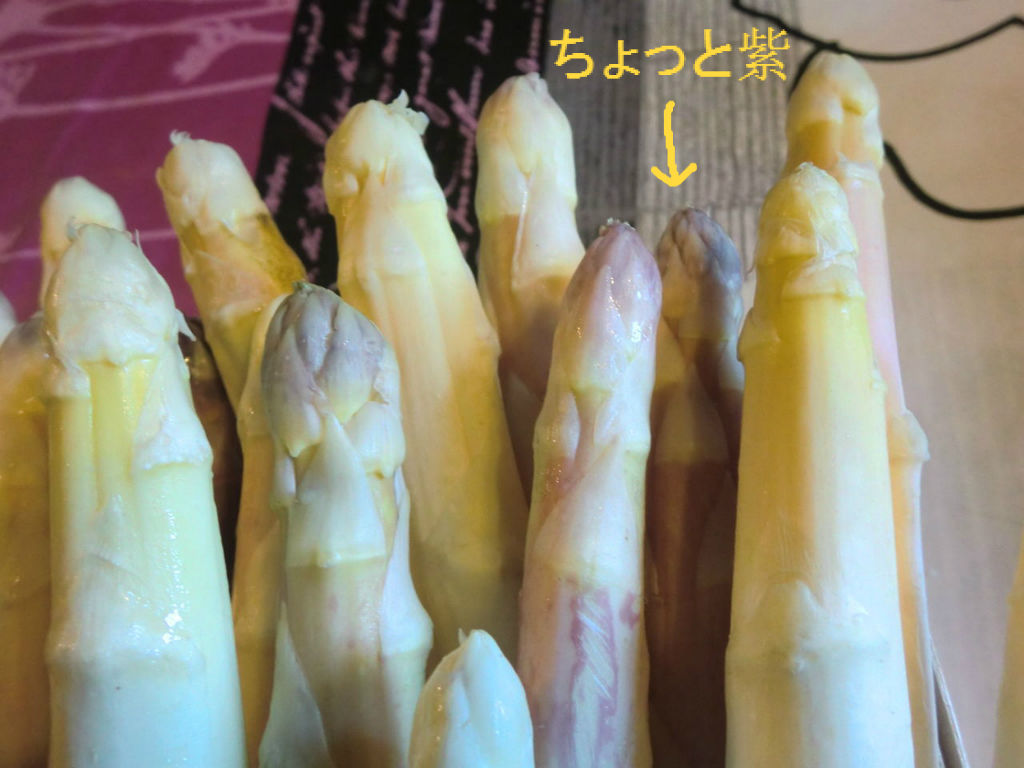 紫アスパラガス ソワレが要らないフランス暮らし 紫アスパラガス ソワレが要らないフランス暮らし