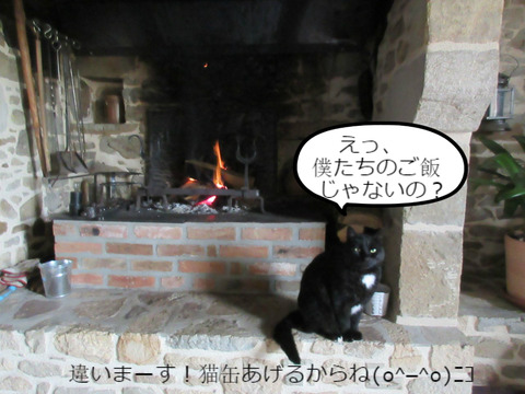 BlogPaint